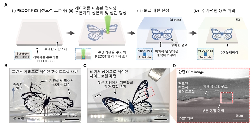 (그림1) 레이저를 이용한 전도성 하이드로젤 미세 패터닝 공정