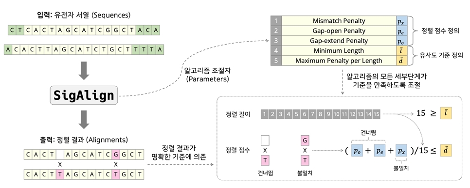 SigAlign 알고리즘의 원리에 대한 그림설명 (게재된 논문의 Graphical Abstract). SigAlign은 분석하고자 하는 자료의 특성에 맞는 생물학적인 유사도와 관련된 5가지의 설정값, 특히 “최소 일치값” (minimum length)과 “길이 당의 최대 벌점” (maximum penalty per length) 의 두가지 조건만 설정하면 모든 유전체 분석이 매우 빠르고 정확하며 100% 재현될 수 있도록 설계된 점이 특징이다.