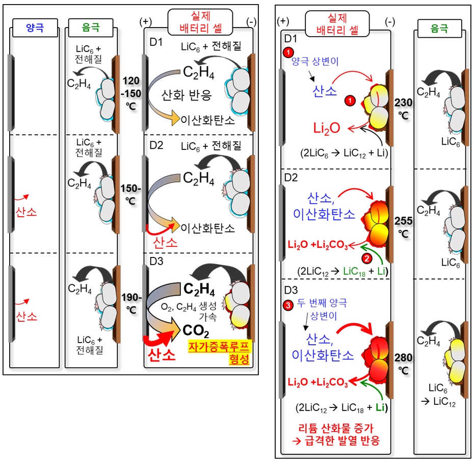 [그림 2] 온도에 따른 ‘자가증폭루프’ 메커니즘. 120~200도 (좌), 230~280도 (우)