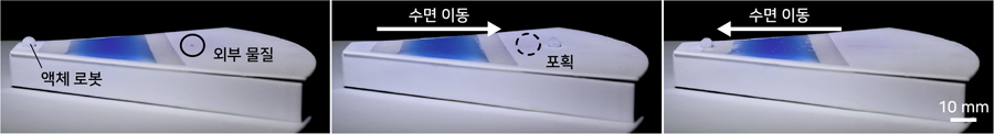 ▲ 자료 2. 액체 로봇이 수면 위를 이동하여 너머의 외부 물질을 포획한 후, 원래 위치로 복귀하는 모습